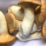 cogumelos-em-sao-paulo-consumo-verde