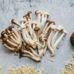 cogumelos-em-sao-paulo-consumo-verde